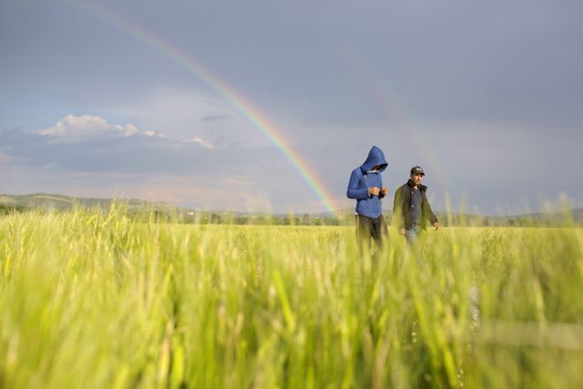 Afghan men walk in the fields at the northern Greek border with Macedonia. AP/Petros Giannakouris