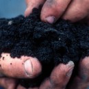 (Photo:Natural Resources Conservation Service Soil Health Campaign/cc/flickr)