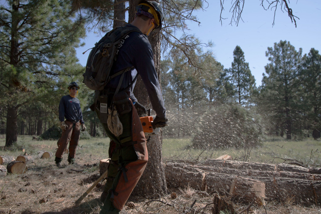 In 2010, the Schultz Fire burned more than 15,000 acres the Coconino National Forest outside Flagstaff, Arizona. City voters passed a $10 million bond to thin the forest near Flagstaff to limit potential damage from future fires.Credit: Emmanuel Martinez/Reveal