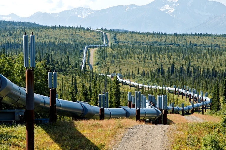 The Trans-Alaska oil pipeline stretches more than 1,300 km (800 miles) through the taiga from Prudhoe Bay to Valdez. It’s probable that Donald Trump’s leadership will see the United States revert back to a less engaged role in Arctic matters, other than Alaska’s concerns, writes Rob Huebert. (Biosphoto/Jean-Philippe Delobelle)