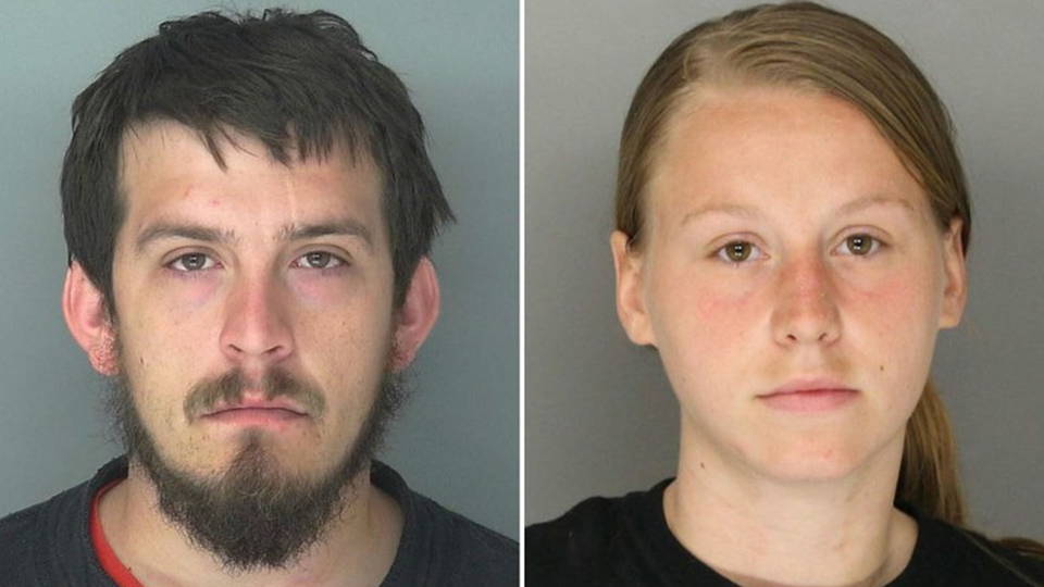 H14 confederate flag sentenced