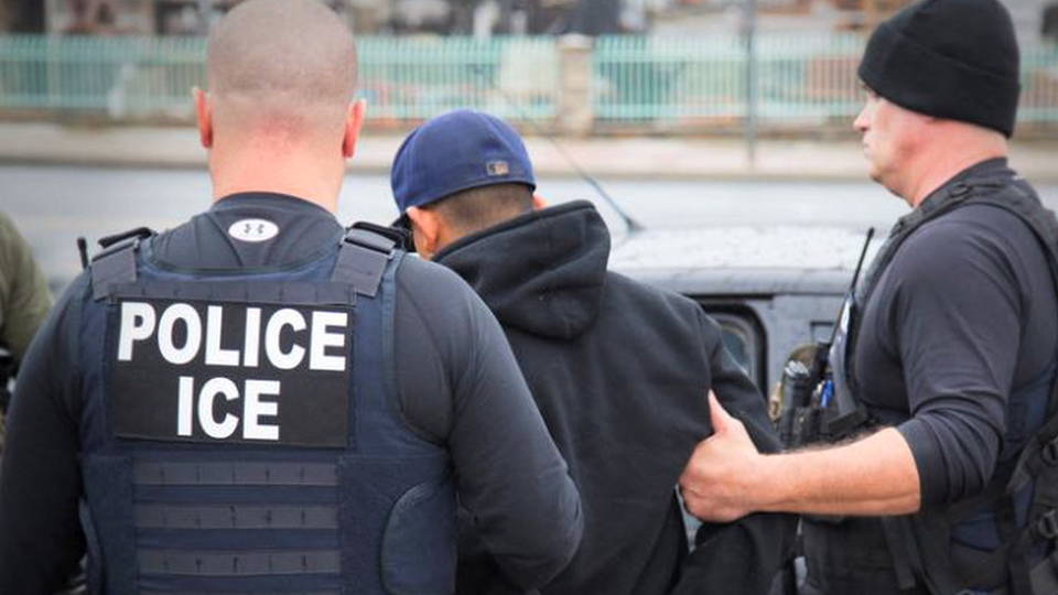 H13 ice arrests