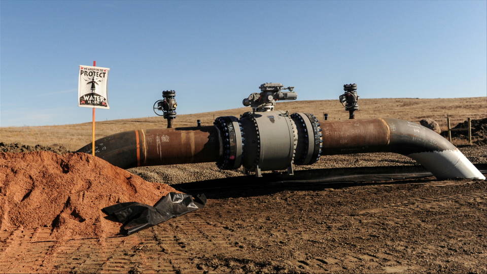 H16 dapl