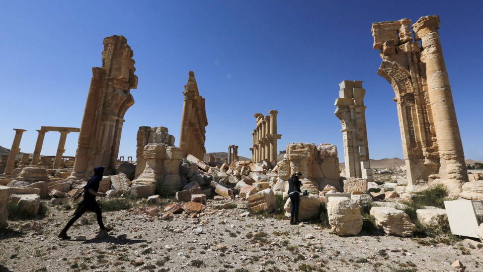 H07 palmyra
