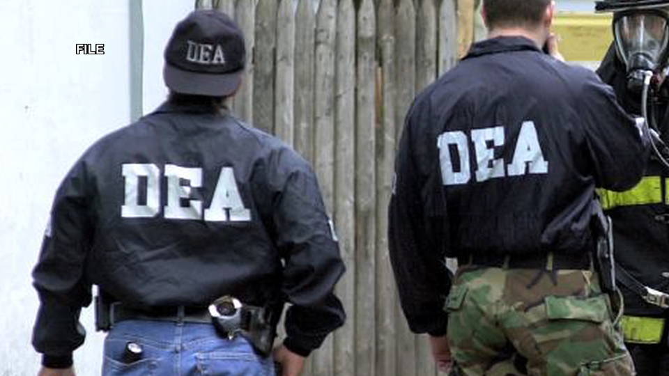 H08 dea file