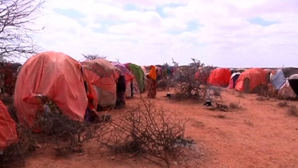 H02 somalia cholera
