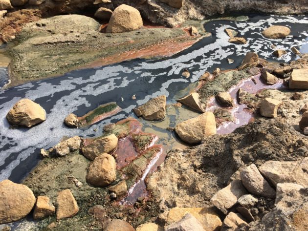"Excessively high" concentrations of antibiotic and antifungal residue were found in the natural environmentPhoto by Christian Baars (NDR)