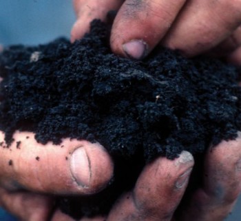 (Photo:Natural Resources Conservation Service Soil Health Campaign/cc/flickr)