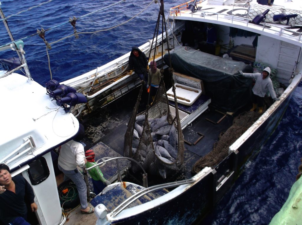On the Chung Kuo No. 39, a long-line fishing vessel, a man appears startled or angry as he points his finger at Keith Davis. In the boat's net are albacore being transferred to the cargo ship.
